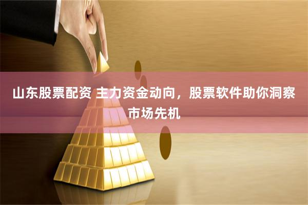 山东股票配资 主力资金动向，股票软件助你洞察市场先机