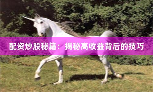 配资炒股秘籍：揭秘高收益背后的技巧